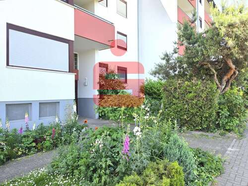 Foto - Wohnung zum Kaufen in Bad Dürkheim 99.500,00 € 30.98 m²