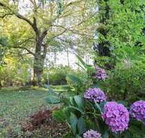 Grundstück zu verkaufen in Velgast 59.900,00 € 1350.11 m²