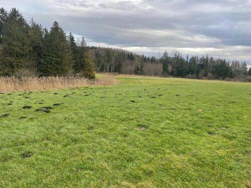 Foto - Grundstück zu verkaufen in Igling 59.500,00 € 6966 m²