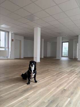 Foto - Büro in München 400,00 € 8 m² - 400,00 EUR Kaltmiete, ca.  8,00 m²