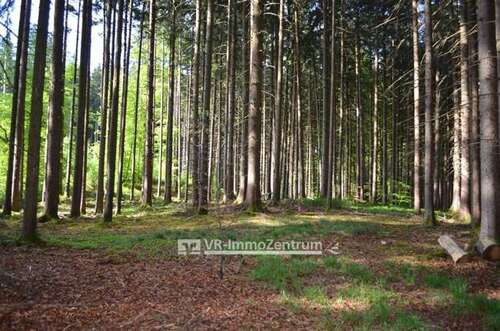 Foto - Spezialgewerbe in Hofstetten 64.000,00 € 11819 m²