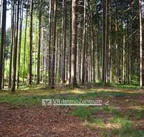 Spezialgewerbe in Hofstetten 64.000,00 € 11819 m²