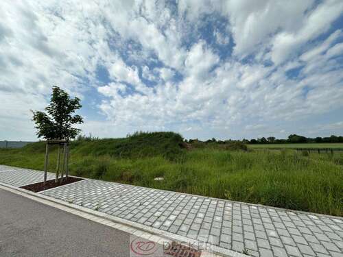 Foto - Grundstück zu verkaufen in Geiselhöring 175.440,00 € 516 m²