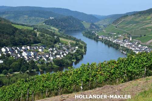 Foto - Grundstück zu verkaufen in Zell (Mosel) 8.200,00 € 1163 m²