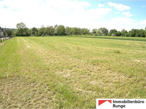 Foto - Haus zum Kaufen in Rinteln 375.000,00 € 200 m²