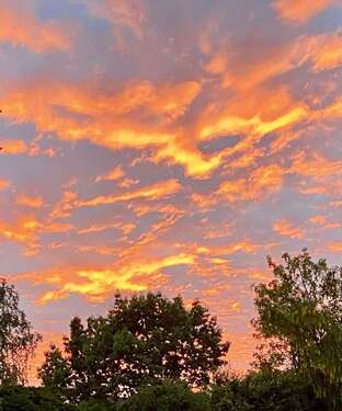 Foto - Haus zum Kaufen in Freigericht 279.000,00 € 119 m²