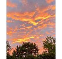 Haus zum Kaufen in Freigericht 279.000,00 € 119 m²