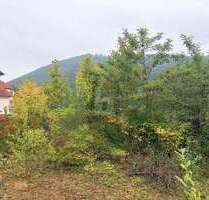 Grundstück zu verkaufen in Badenweiler 350.000,00 € 1196 m²