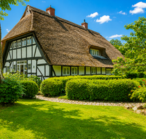 Haus zum Kaufen in Neudorf-Bornstein 1.300.000,00 € 290 m²