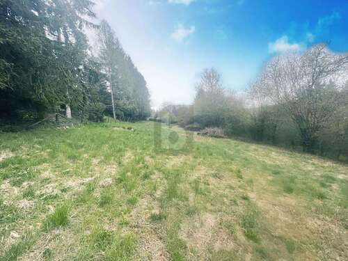 Foto - Grundstück zu verkaufen in Calw 95.000,00 € 1605 m²