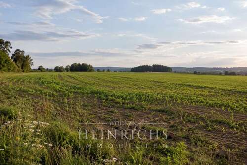 Foto - Grundstück zu verkaufen in Moosach 53.000,00 € 5685 m²