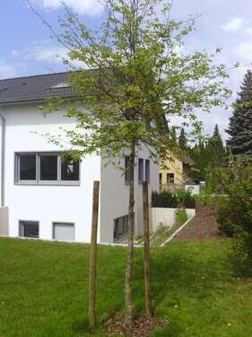 Foto - Büro in Berlin - Mahlsdorf 3.000,00 € 232.79 m²