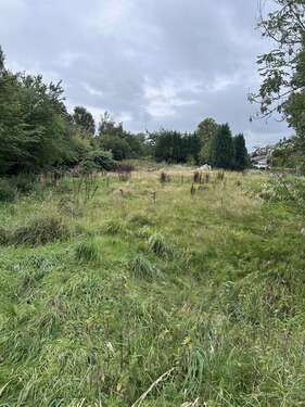 Foto - Grundstück zu verkaufen in Drochtersen 98.500,00 € 1652 m²