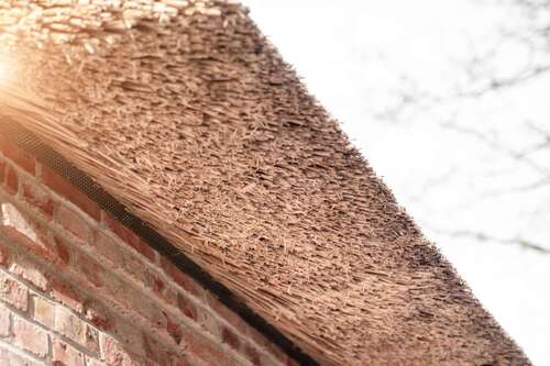 Foto - Haus zum Kaufen in Sankt Peter-Ording 899.000,00 € 90.04 m²