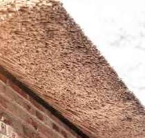 Haus zum Kaufen in Sankt Peter-Ording 899.000,00 € 90.04 m²