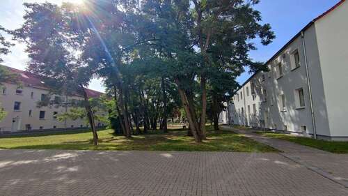 Foto - Wohnung zum Mieten in Brandenburg an der Havel 380,00 € 45.95 m²