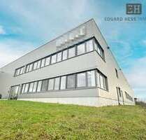 Büro in Lampertheim 1.500,00 € 138 m²
