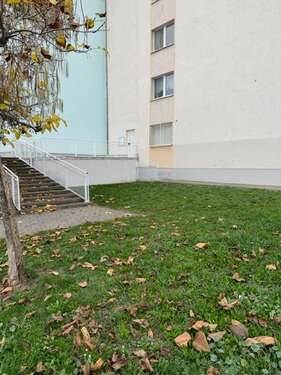 Foto - Büro in Halle 200,00 € 31.83 m²