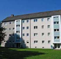 Wohnung zum Mieten in Dortmund 376,00 € 44.22 m² Wohnung zum Mieten in Dortmund 376,00 € 44.22 m²