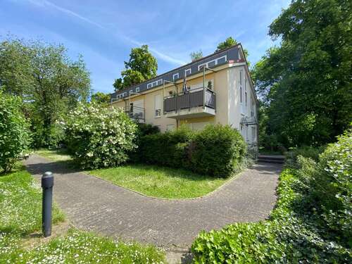 Foto - Wohnung zum Mieten in Dresden 470,00 € 36 m²