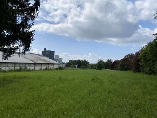 Foto - Grundstück zu verkaufen in Ebersdorf bei Coburg 129.000,00 € 3540 m²