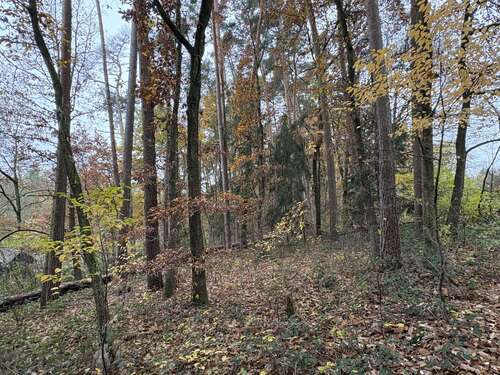 Foto - Grundstück in Pleinfeld 10.392,00 € 5196 m²