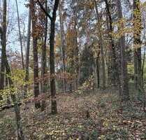 Grundstück in Pleinfeld 10.392,00 € 5196 m²