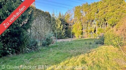 Foto - Grundstück zu verkaufen in Bornheim 499.000,00 € 1000 m²