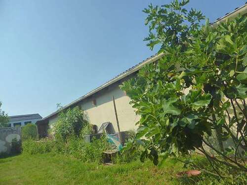 Foto - Spezialgewerbe in Horrweiler 680.000,00 € 497 m²