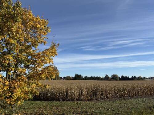 Foto - Grundstück in Zehdenick Mildenberg 60.000,00 € 54514 m²