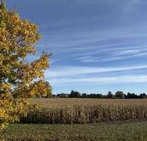 Grundstück in Zehdenick Mildenberg 60.000,00 € 54514 m² - Zehdenick / Mildenberg