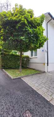 Foto - Wohnung zum Mieten in Baden-Baden 580,00 € 31.59 m²