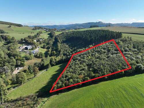 Foto - Grundstück in Olsberg 9.900,00 € 12107 m²