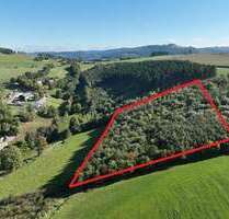 Grundstück in Olsberg 9.900,00 € 12107 m²