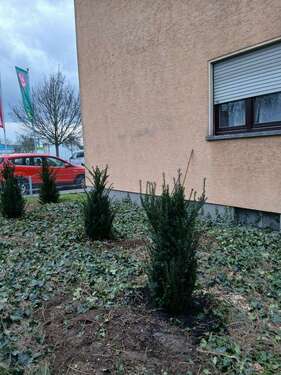 Foto - Wohnung zum Mieten in Ludwigshafen 895,00 € 86 m²