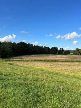 Foto - Grundstück in Perleberg 79.000,00 € 49548 m²