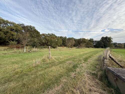 Foto - Grundstück in Bad Düben 20.000,00 € 13288 m²