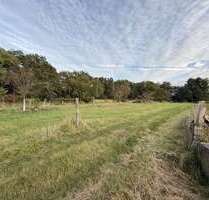 Grundstück in Bad Düben 20.000,00 € 13288 m²