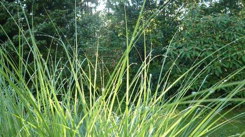 Foto - Grundstück zu verkaufen in Egmating 550.000,00 € 563 m²