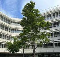 Büro in Mainz-Weisenau 7.990,00 € 1037 m²