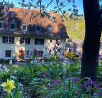 Wohnung zum Kaufen in Trausnitz 79.000,00 € 63 m²