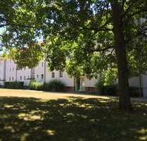 Wohnung zum Mieten in Helmstedt 430,00 € 65.82 m²