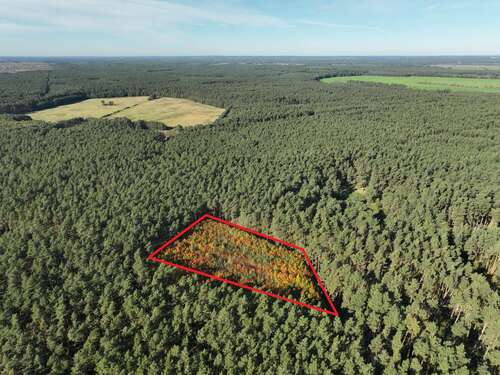 Foto - Grundstück in Alt Krenzlin Loosen 7.500,00 € 7695 m²