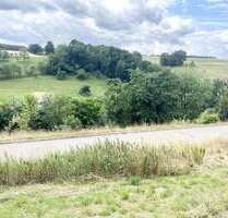 Grundstück zu verkaufen in Eineborn 47.360,00 € 592 m²