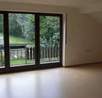 Wohnung zum Mieten in Erbach 375,00 € 40 m²