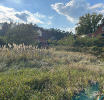 Grundstück zu verkaufen in Garstedt 199.999,00 € 977 m²