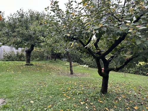 Foto - Haus zum Kaufen in Schwaigern 530.000,00 € 135 m²