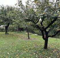 Haus zum Kaufen in Schwaigern 530.000,00 € 135 m²