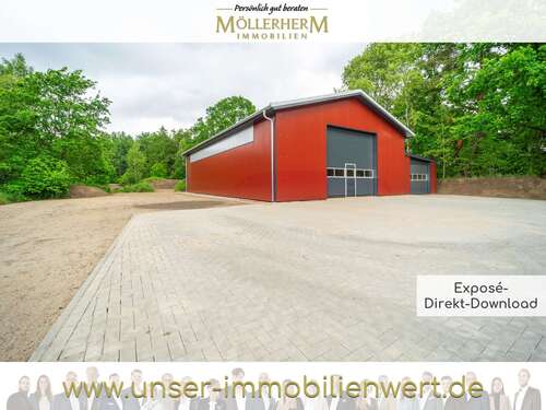 Foto - Halle in Bark 2.250,00 € 312 m²