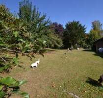 Grundstück zu verkaufen in Attenkirchen - Thalham 685.000,00 € 765 m²